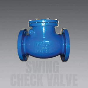 swing check valve