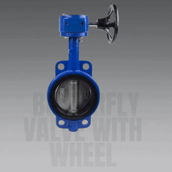 BUTTERFLY VALVE WITH SETIR