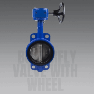 butterfly valve with setir