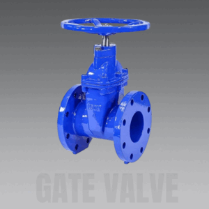 gate valve